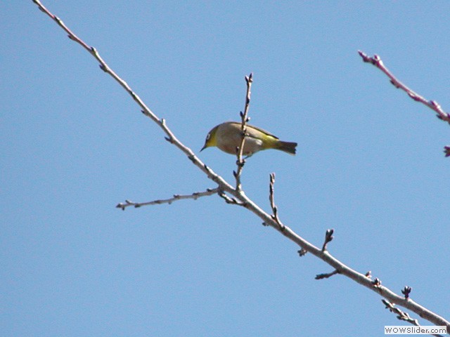 12月