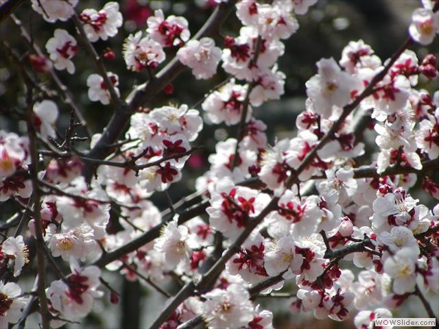 2月