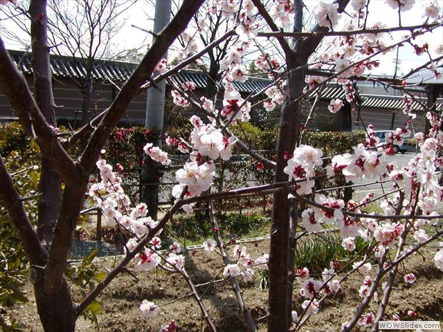 2月