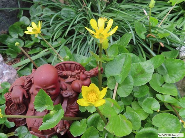 2月