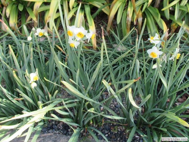 2月
