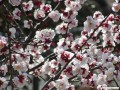2月