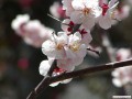2月
