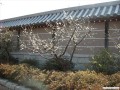 2月