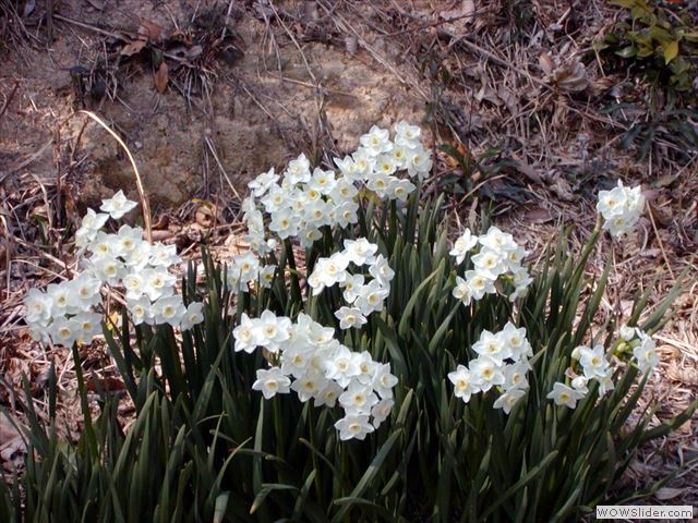 3月