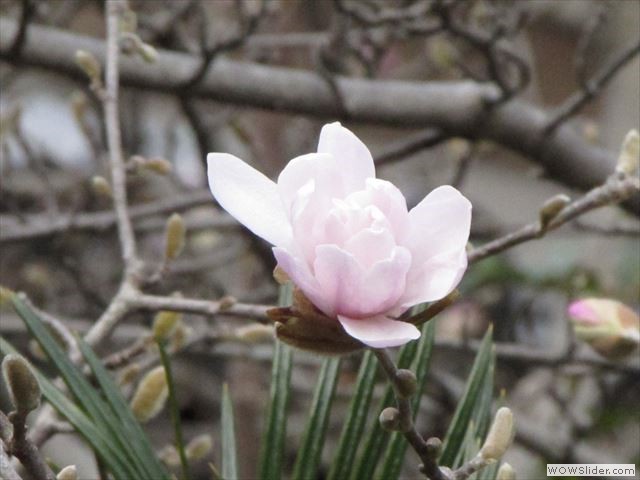 3月