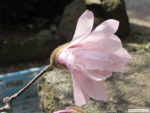 3月