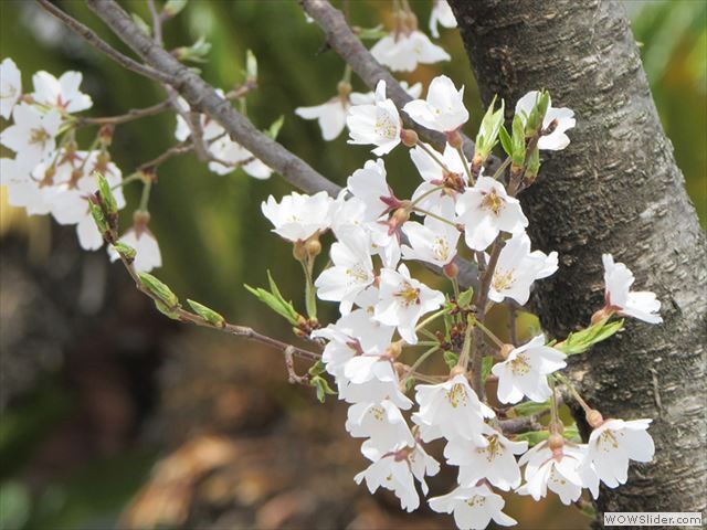 3月