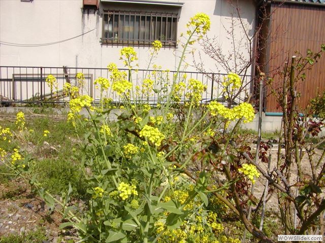 3月