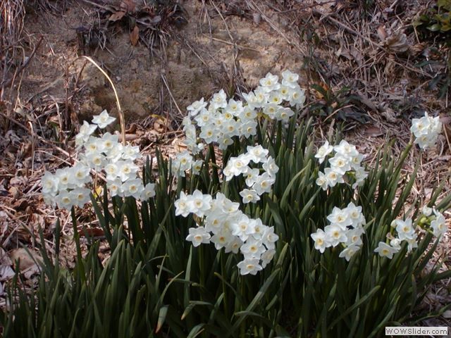 3月