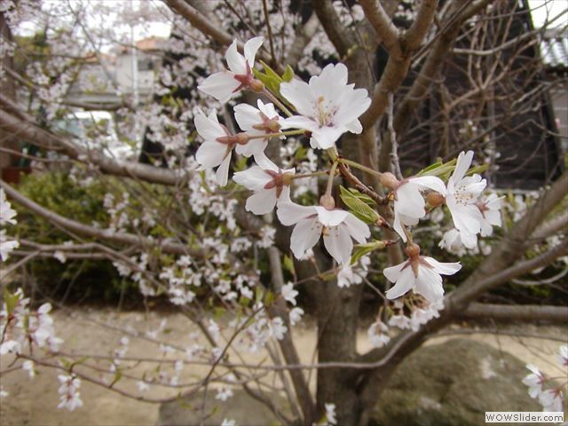 3月