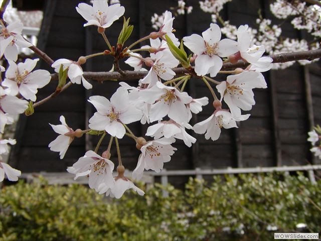 3月