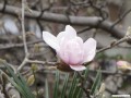 3月