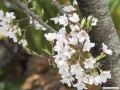3月
