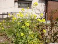 3月