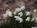 3月
