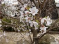 3月