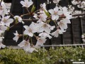 3月