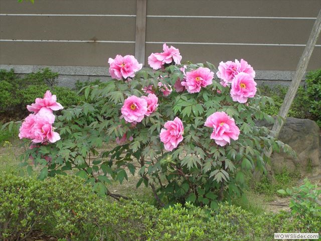 4月