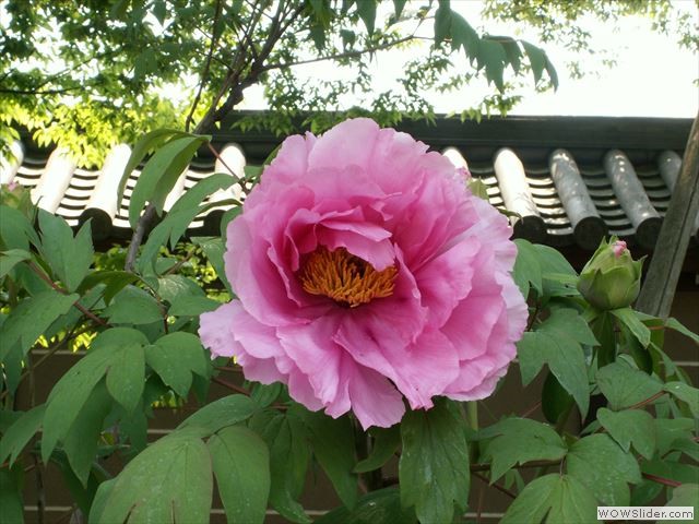 4月