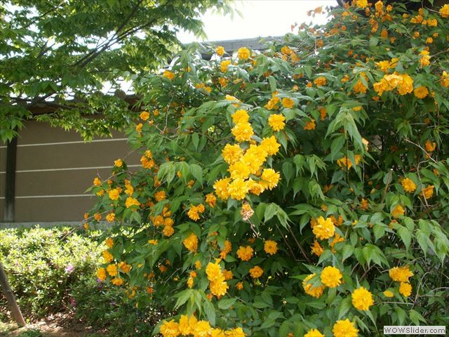 4月