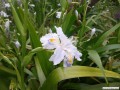 4月