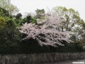 4月