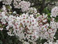 4月