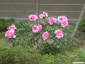 4月