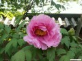 4月