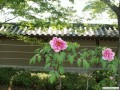 4月