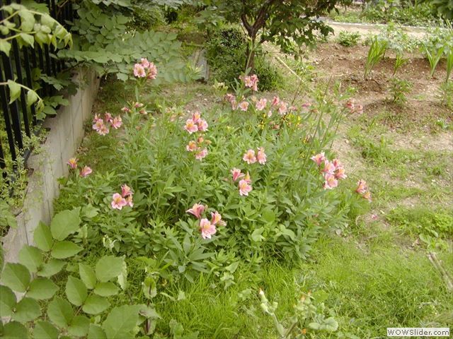 5月