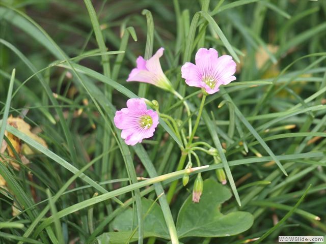 5月
