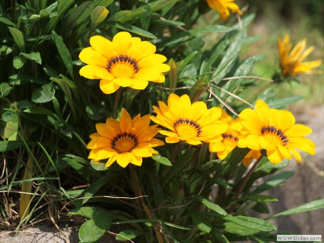 5月