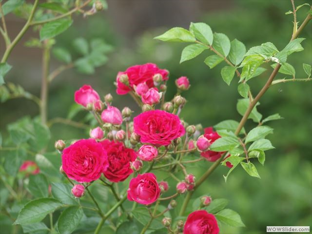 5月