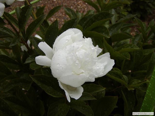 5月