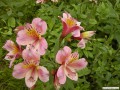 5月