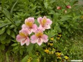 5月