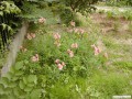 5月