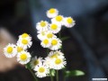 5月