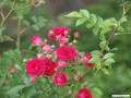 5月