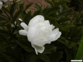5月