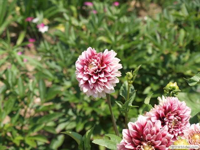 6月