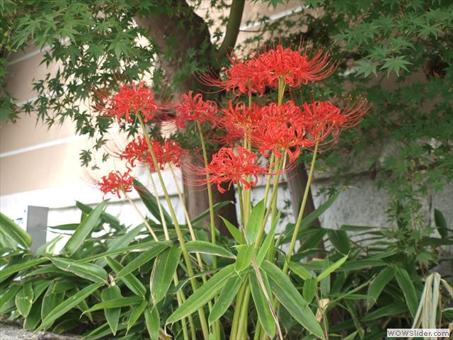 9月