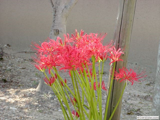 9月