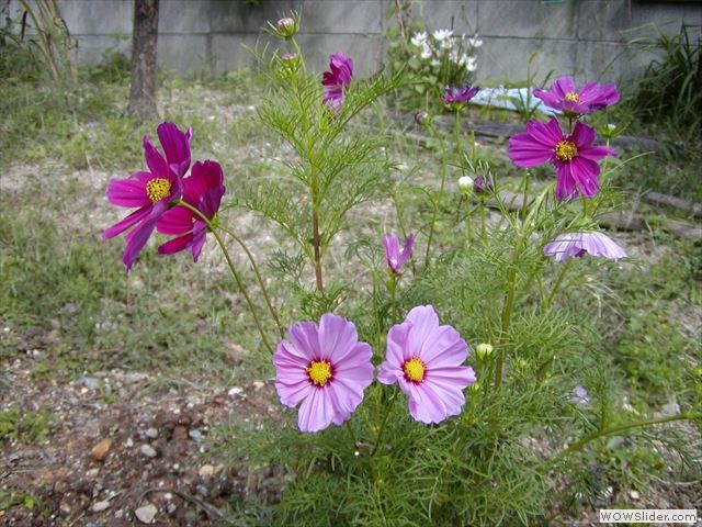 9月