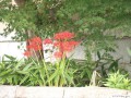 9月