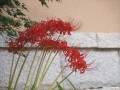 9月
